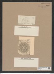 Stephanopyxis grossecellulata Pant. (de-Toni-Nr.: Genus 187, Species 4625) Zeichnungen Sammlung Grunow Nr. 8267 (NHMW-BOT-W0377663)